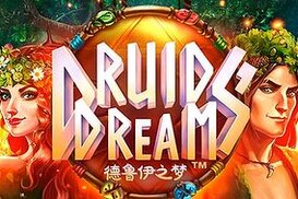 Интересный игровой автомат Риобет — Druids Dream